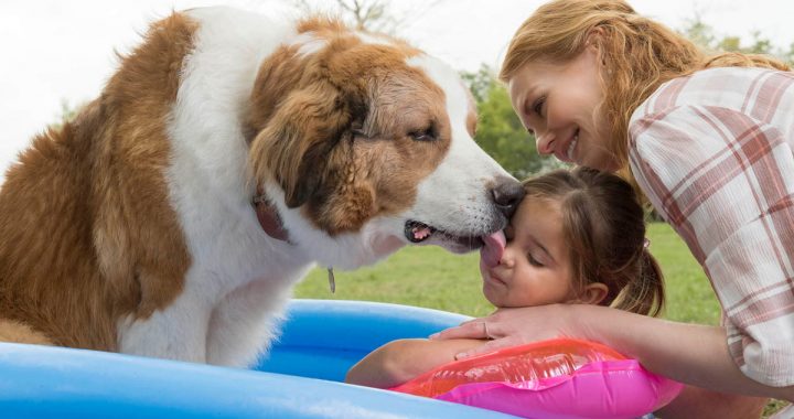 La razón de estar contigo: Un nuevo viaje