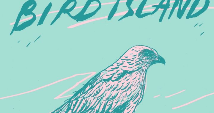 Isla de pájaros – 41º Foro Internacional de Cine
